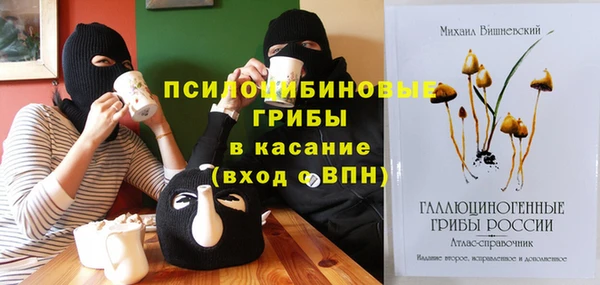 альфа пвп Каменка