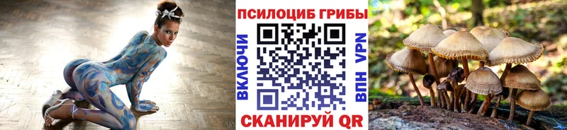 Купить  Заводоуковск  Псилоцибиновые грибы мухоморы 